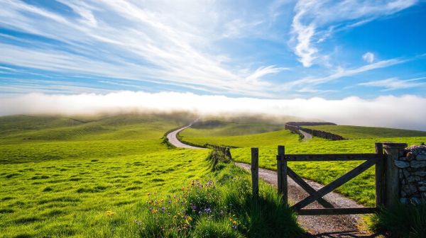 Découvrez les astuces pour un voyage en Irlande serein