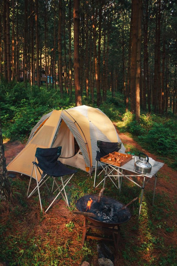 Découvrez les campings de Saint-Georges-de-Didonne en Charente-Maritime
